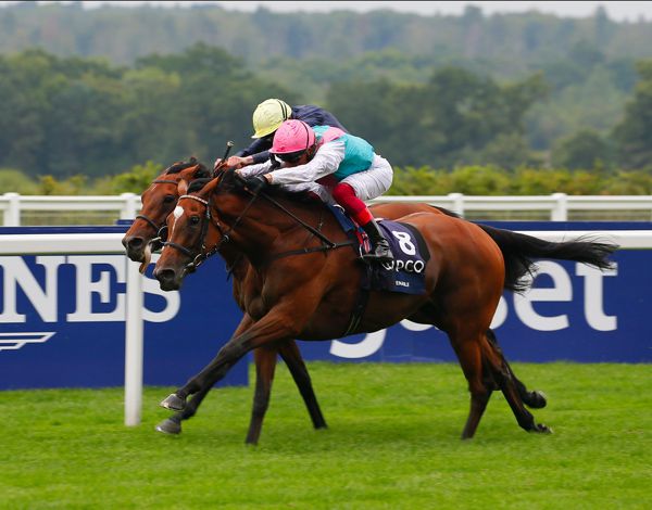 Enable 