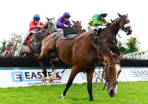 LETHAL STEPS (grey horse, red silks) comes through to win the first at Galway under Davy Russell.