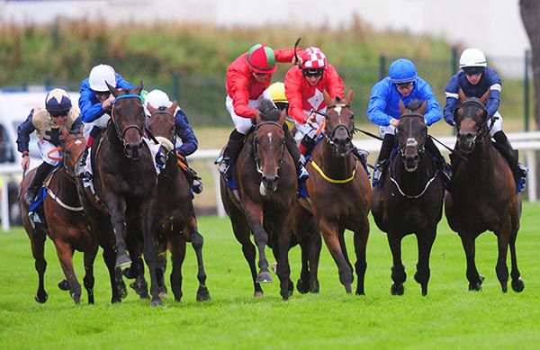 HALIMI (second left, royal blue, white cap) wins the Eventus 3-y-o Handicap 