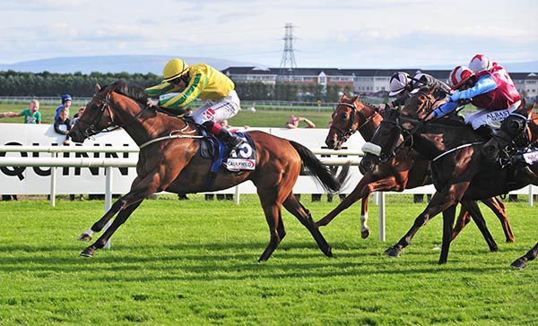 Rita Levi leads them home