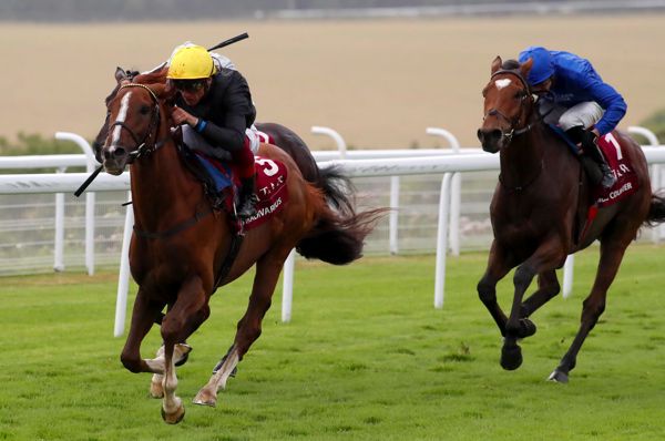      Stradivarius winning the 2019 Goodwood Cup