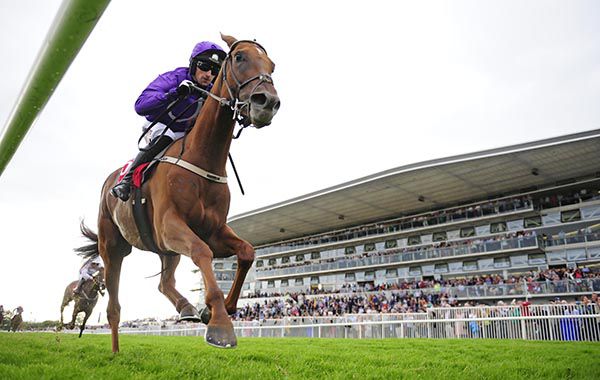 BUILDMEUPBUTTERCUP and Patrick Mullins win the (Q.R.) Maiden at Galway.