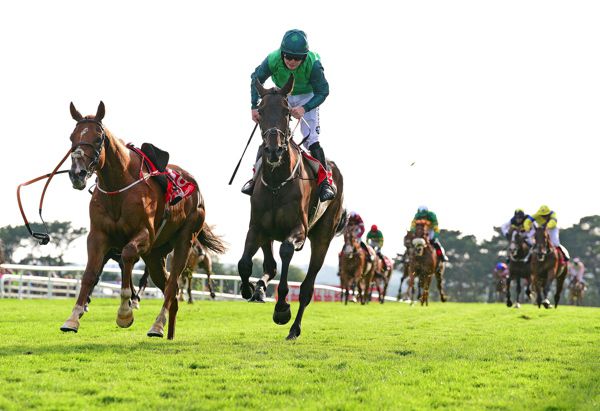 Galway Plate winner Borice has some more big race options later in the year.