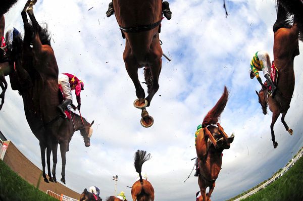 Horse jumping a fence in the Tote Galway Plate