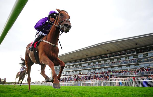 Builmeupbuttercup, seen winning at Galway, goes for Willie Mullins and Frankie Dettori in the English Cesarewitch