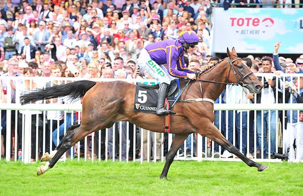 Wicklow Brave coasts home under Paul Townend