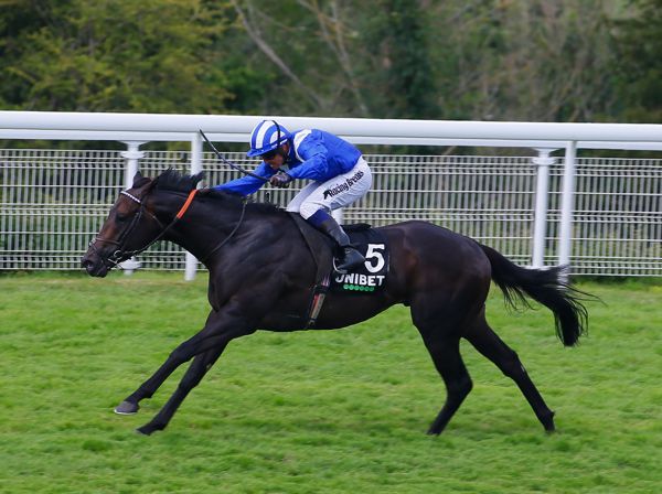 Khaadem winning the Unibet Stewards' Cup at Goodwood last year