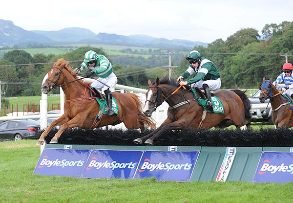 Give Battle and Mr Moondance (left) in the air together at the last