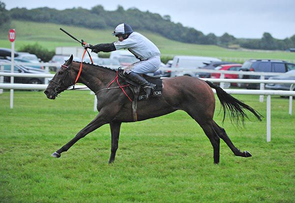 Don't Bet On It wins under Kevin Smith