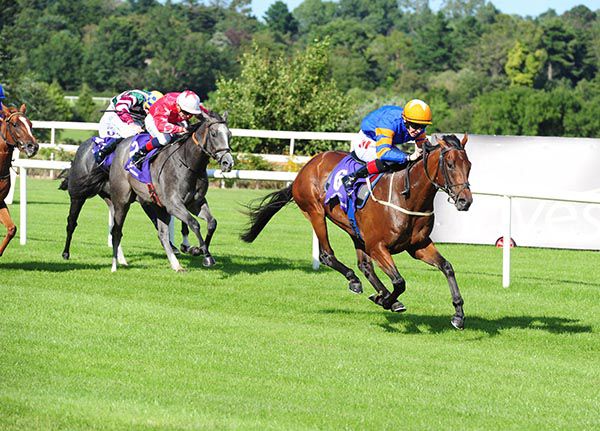 Last Opportunity (right) and Colin Keane race clear at Leopardstown.