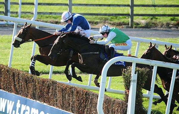 Cusp Of Carabelli (green and white) and Sean Flanagan win at Tramore.