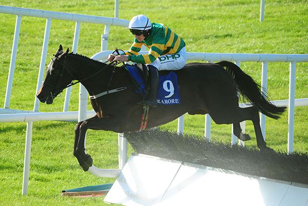 Quartz Du Rheu and Mark Walsh