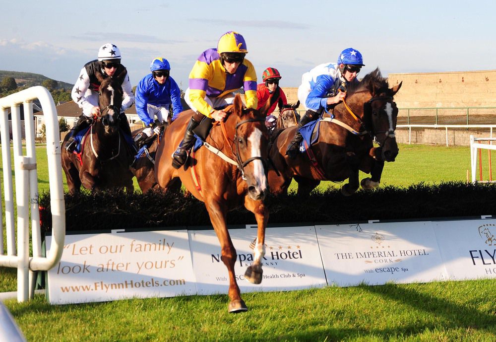 Poker D'ainay jumps a hurdle early on in the contest