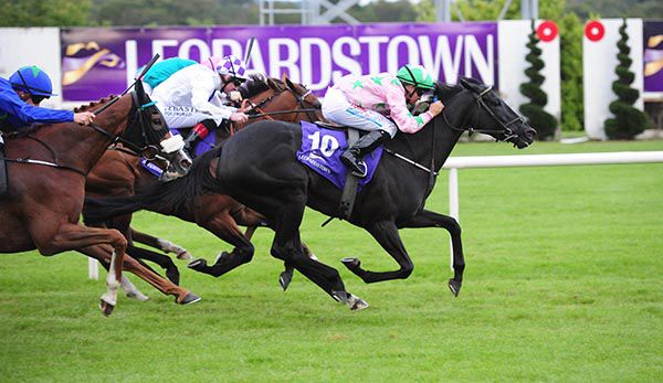 WINIATA (right) and Niall McCullagh take the last at Leopardstown.