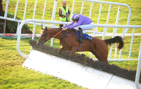 Josephina in winning form at Tramore