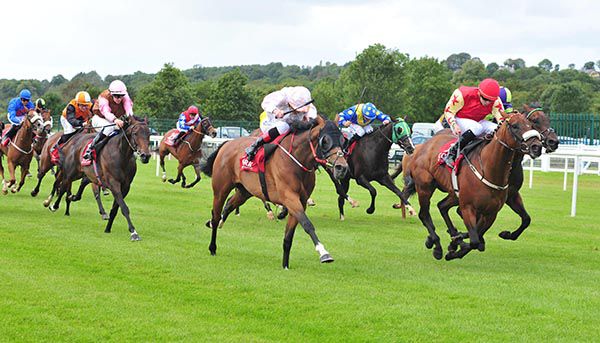 Noirvento and Ronan Whelan (noseband, red colours)