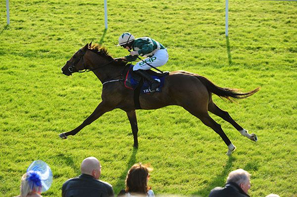 Hit The Rocks and Rachael Blackmore 