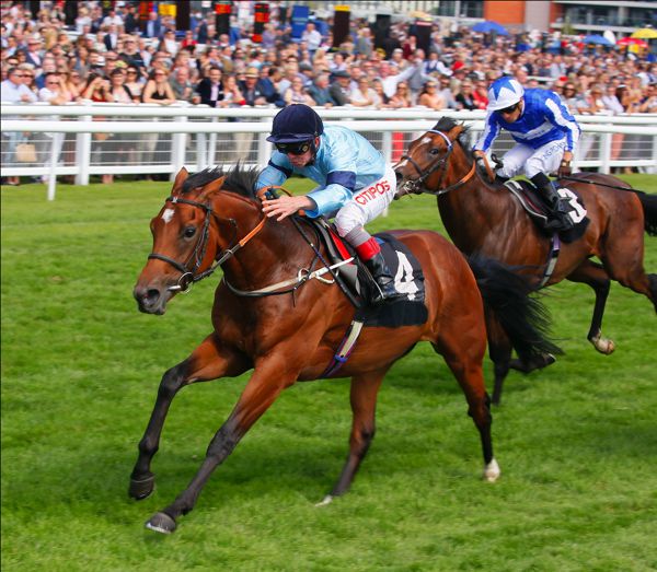 Dante Stakes winner Thunderous returns to action at Sandown