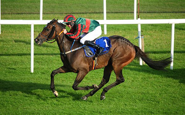 Cyrus Dallin and Alan Glynn pictured on their way to victory