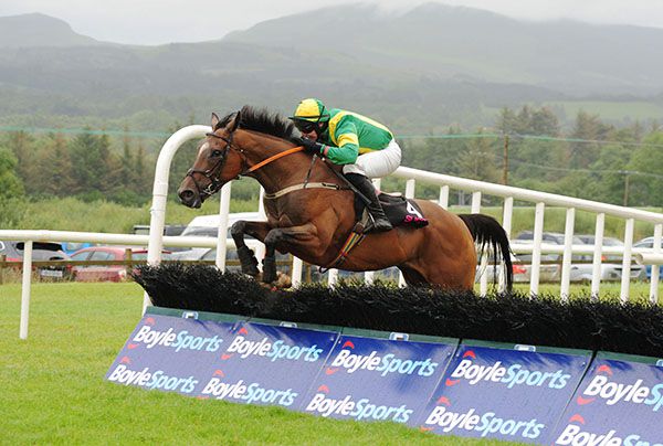 Ciankyle and Mark Bolger in winning form