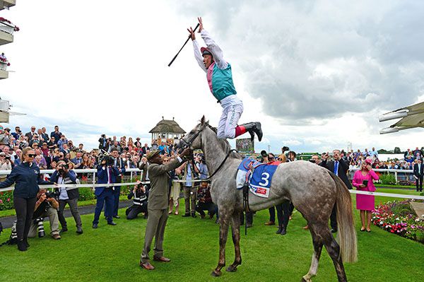 Logician and Frankie Dettori 