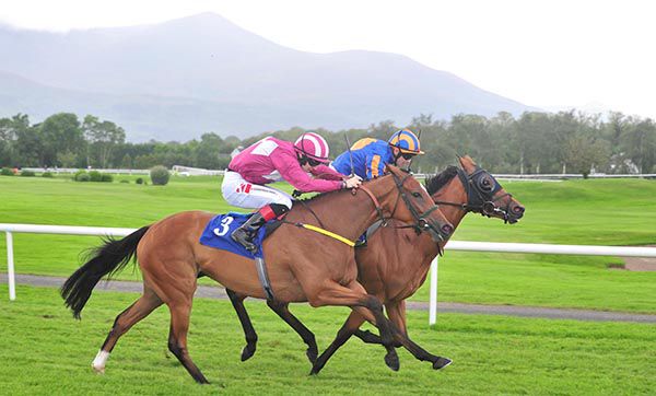 Dawn Of The West (Colin Keane, nearside) eventually got the upper hand on The Tooth Fairy (Wayne Lordan) at Killarney