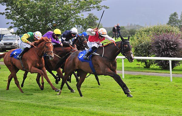 Davids Charm sees them all off under Chris Hayes