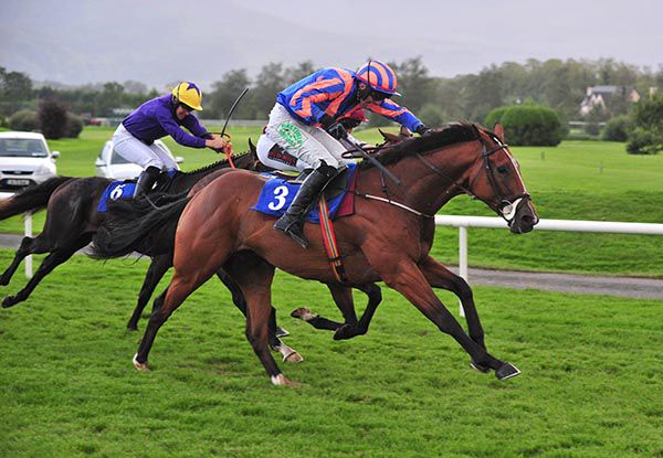 Double Talkin Jive wins under Declan Lavery