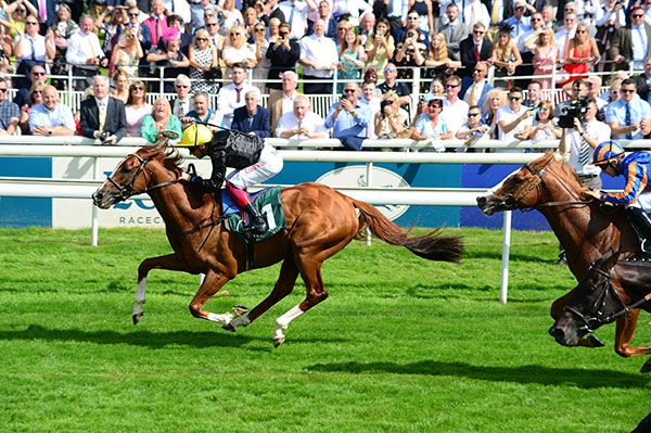 Stradivarius winning at York in 2019