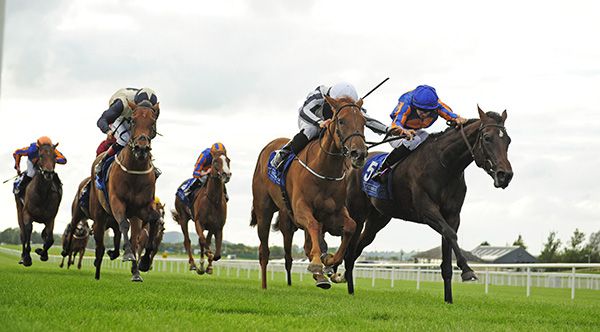Alpine Star and Shane Foley (centre) beat Petite Musique (right)