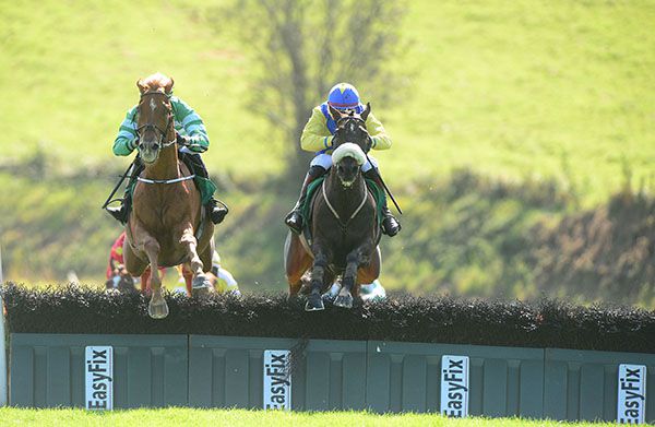 Greenandwhitearmy (right) jumps the last alongside green-and-white coloured Mr Moondance