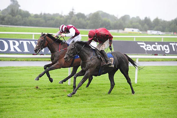 Bothar Dubh (nearest) gets up to beat Nibblers Charm