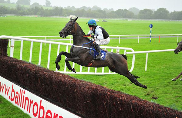 Ozzie's Way takes off at the last under Andrew Ring