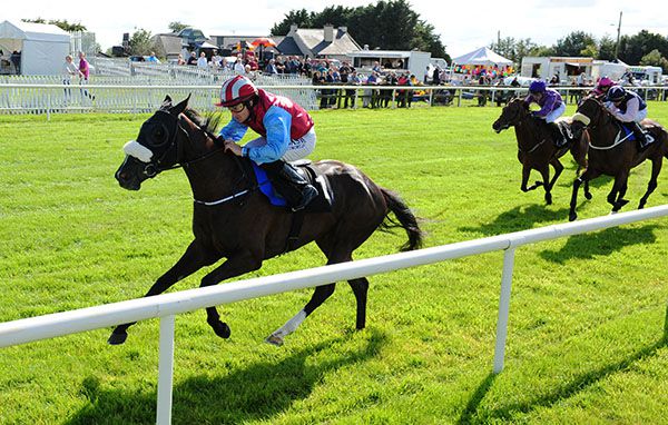 Dancing On A Dream wins under Shane Foley