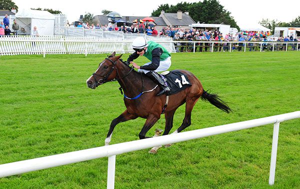 Clifftop and Charlie O'Dwyer