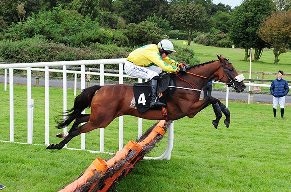            Effernock Fizz and Adam Short 