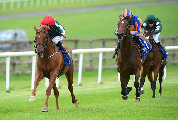 Cayenne Pepper (red cap) winning at the Curragh in August