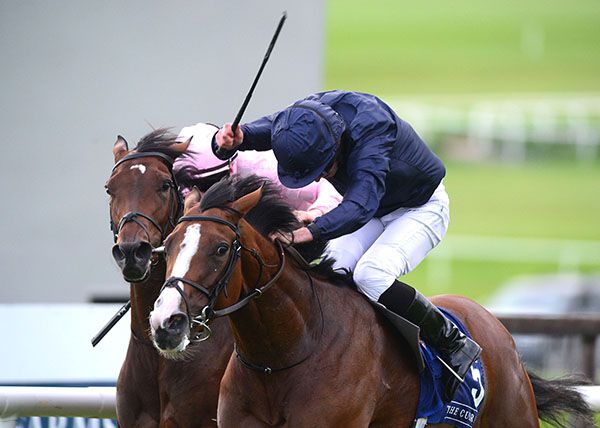 Goddess and Ryan Moore beat stable-mate Credenza