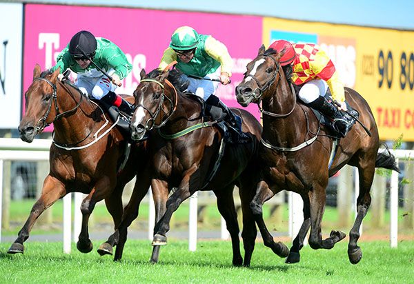 Pulse Of Shanghai (Rory Cleary) just prevailed in the centre in race 2 at Down Royal