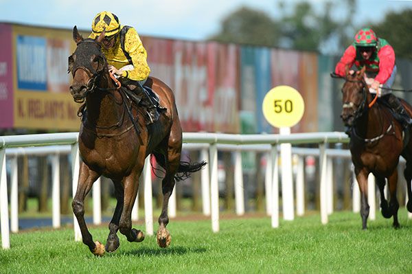 Universal Focus wins under Billy Lee