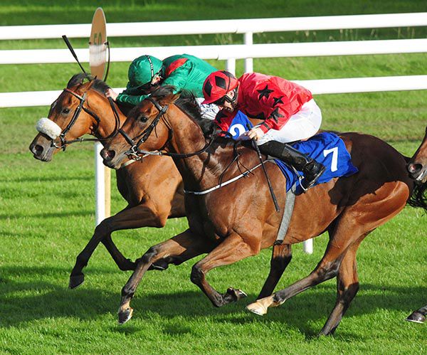 Askerana (Chris Hayes, far-side) beats Lighthouse Lady and Billy Lee