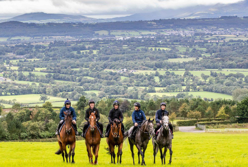 Ruby Walsh, Tony McCoy, Paul Carberry, Charlie Swan and Joseph O'Brien. Credit Inpho 