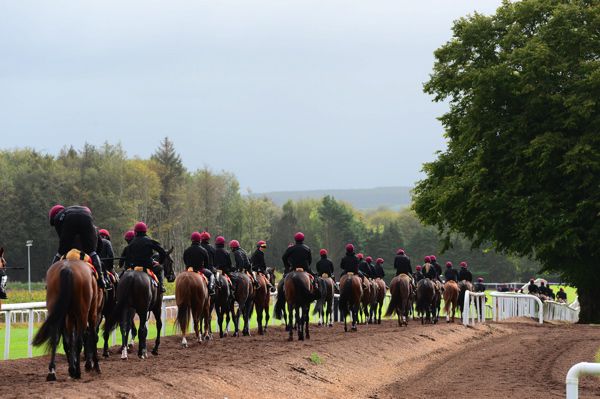 Horses heading to work at Aidan O'Brien's Ballydoyle base