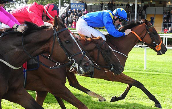 Finding Nero and Billy Lee leading