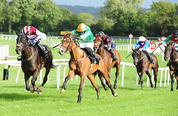Mon Storm (nearside) got there in time to win under Darragh O'Keeffe from Roxys Holly and Conor Orr