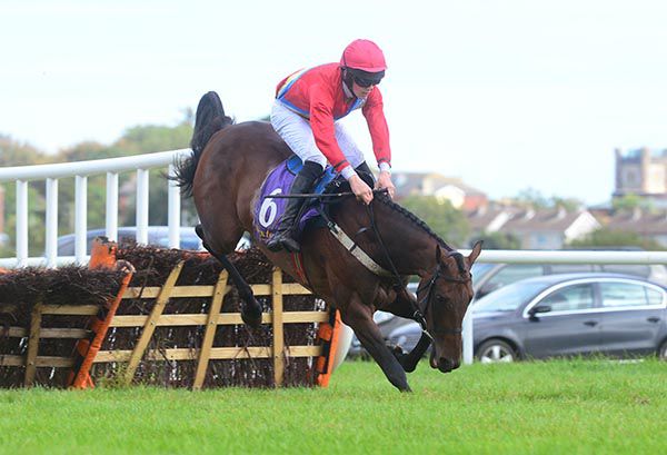 Kaletto survived this second last flight blunder before winning