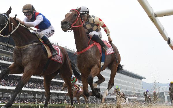 Glorious Artist finishes a creditable fourth in the Korea Cup 