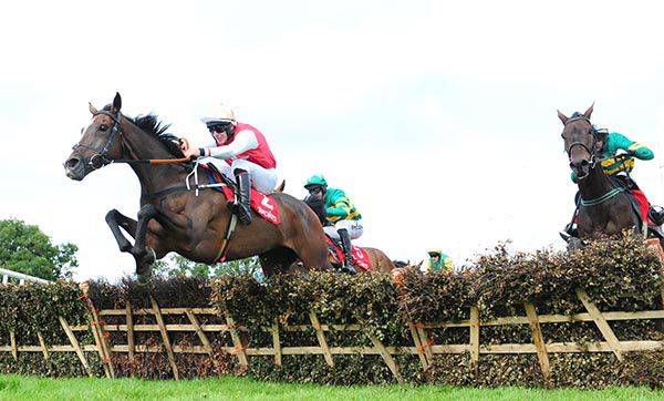 Davids Charm (red and white) and Philip Enright win the Ladbrokes Handicap Hurdle