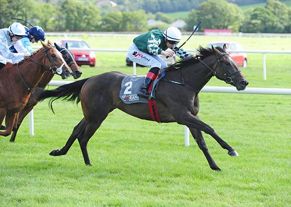 Elite Legion and Conor Hoban