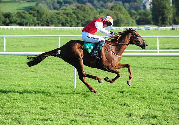 Janet's Charm and Patrick Mullins